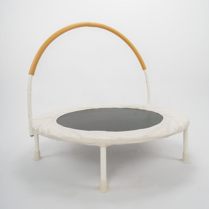JumpKing® 36” Indoor/Outdoor Trampoline - JK36IV